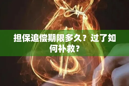 中山担保追偿期限多久?过了如何补救?